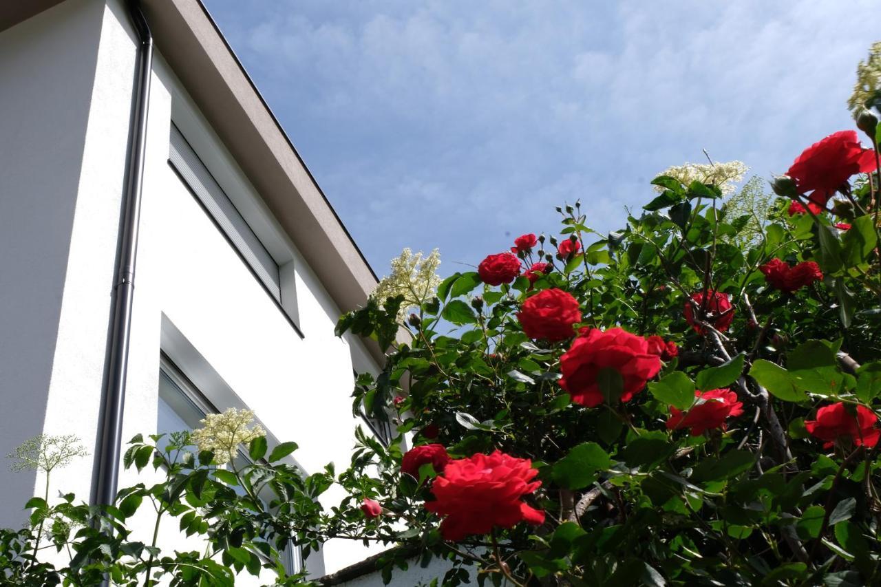 Apartment Le Rose Di Marianne - Sud Vahrn Exteriér fotografie